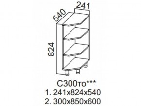 С300то Стол рабочий 300 (торцевой открытый) в Кунгуре - kungur.магазин96.com | фото