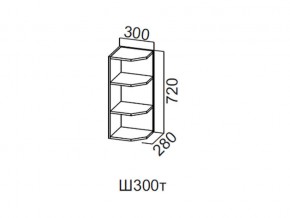 Ш300т/720 Шкаф навесной 300/720 (торцевой) в Кунгуре - kungur.магазин96.com | фото