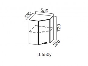 Ш550у/720 Шкаф навесной 550/720 (угловой) в Кунгуре - kungur.магазин96.com | фото