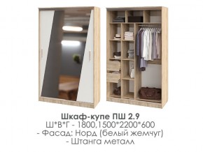 шкаф-купе ПШ-2.9 1500 Норд Белый жемчуг 1500 в Кунгуре - kungur.магазин96.com | фото