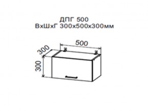 Шкаф верхний ДПГ500 горизонтальный в Кунгуре - kungur.магазин96.com | фото