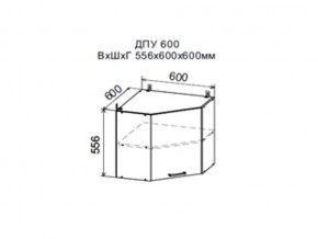 Шкаф верхний ДПУ600 угловой в Кунгуре - kungur.магазин96.com | фото
